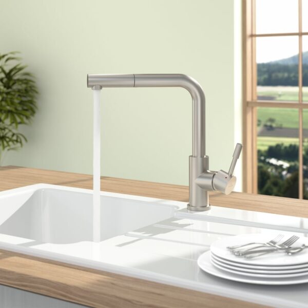 Villeroy & Boch Stalen Doucheraam keukenkraan, uitschuifbaar, draaibaar, geborsteld RVS voor montage op het voorraam